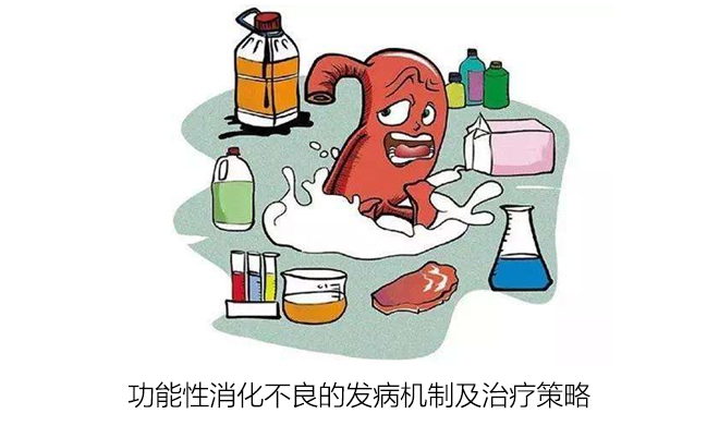 功能性消化不良的发病机制及治疗策略